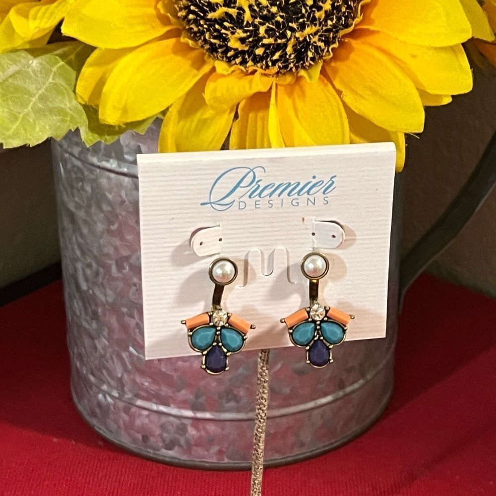 Premier Designs Pop Art  Multicolor Earrings #PDER1